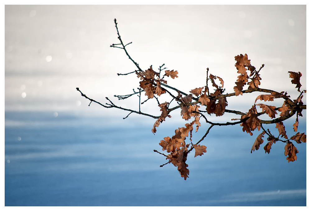 Frostiger Herbst