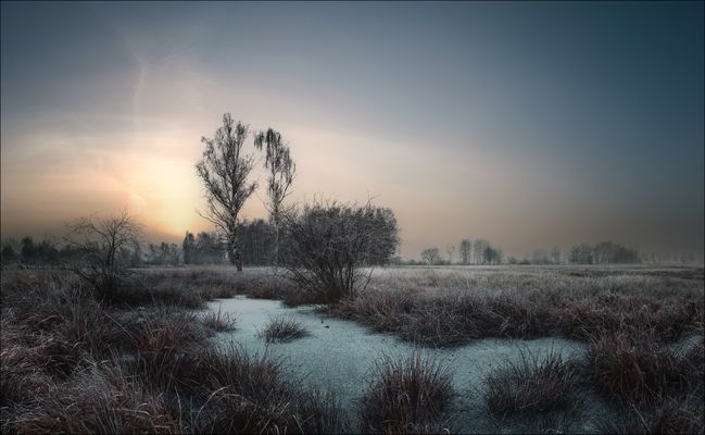 * Frostiger Januartag *