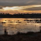 Frostiger Moor-Morgen