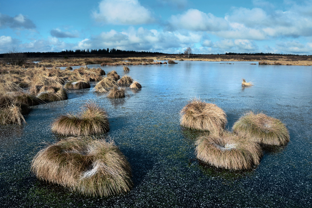 Frostiger Moorsee