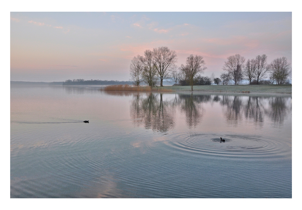 frostiger morgen...