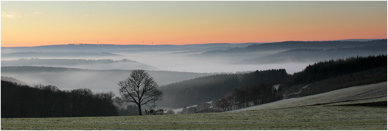 Frostiger Morgen