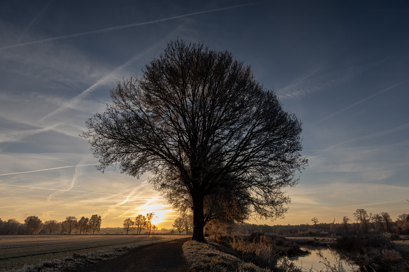 Frostiger Morgen