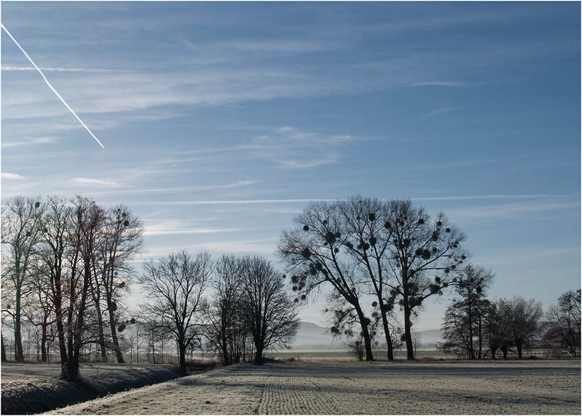 Frostiger Morgen