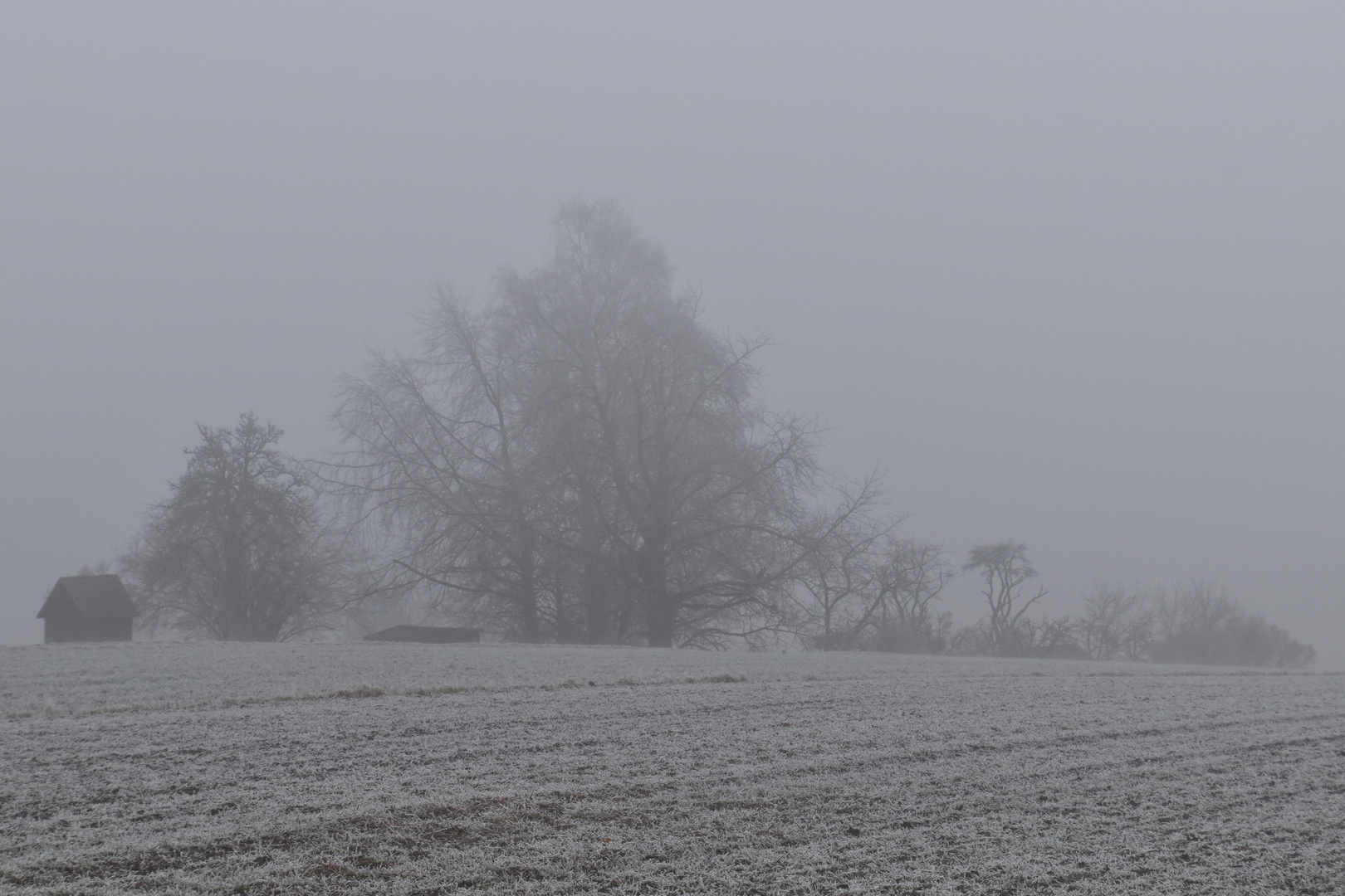 Frostiger Morgen