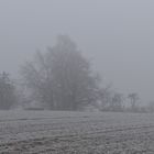 Frostiger Morgen