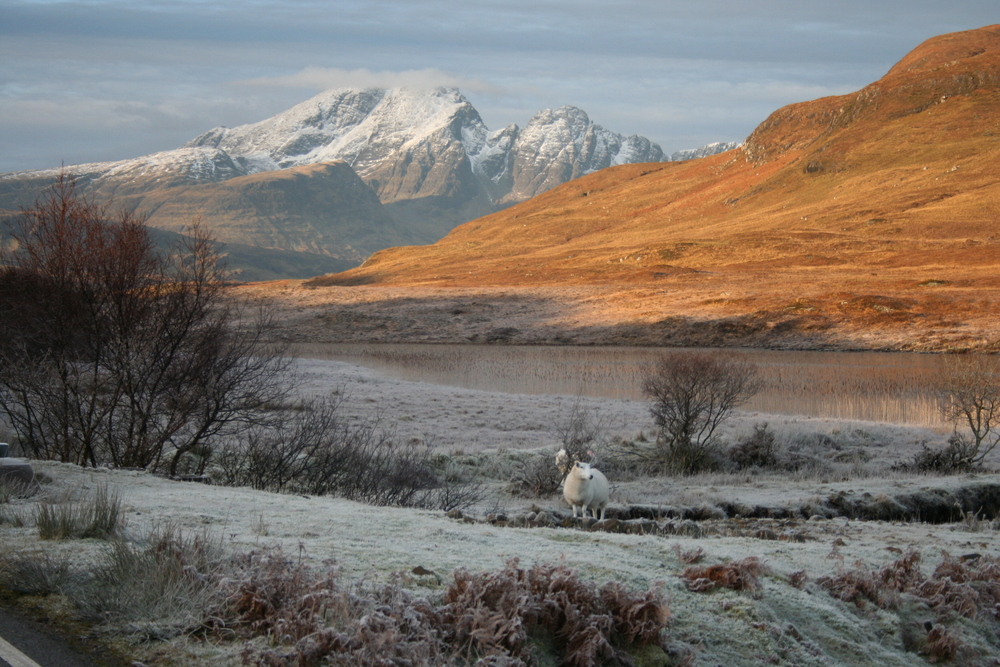 Frostiger Morgen