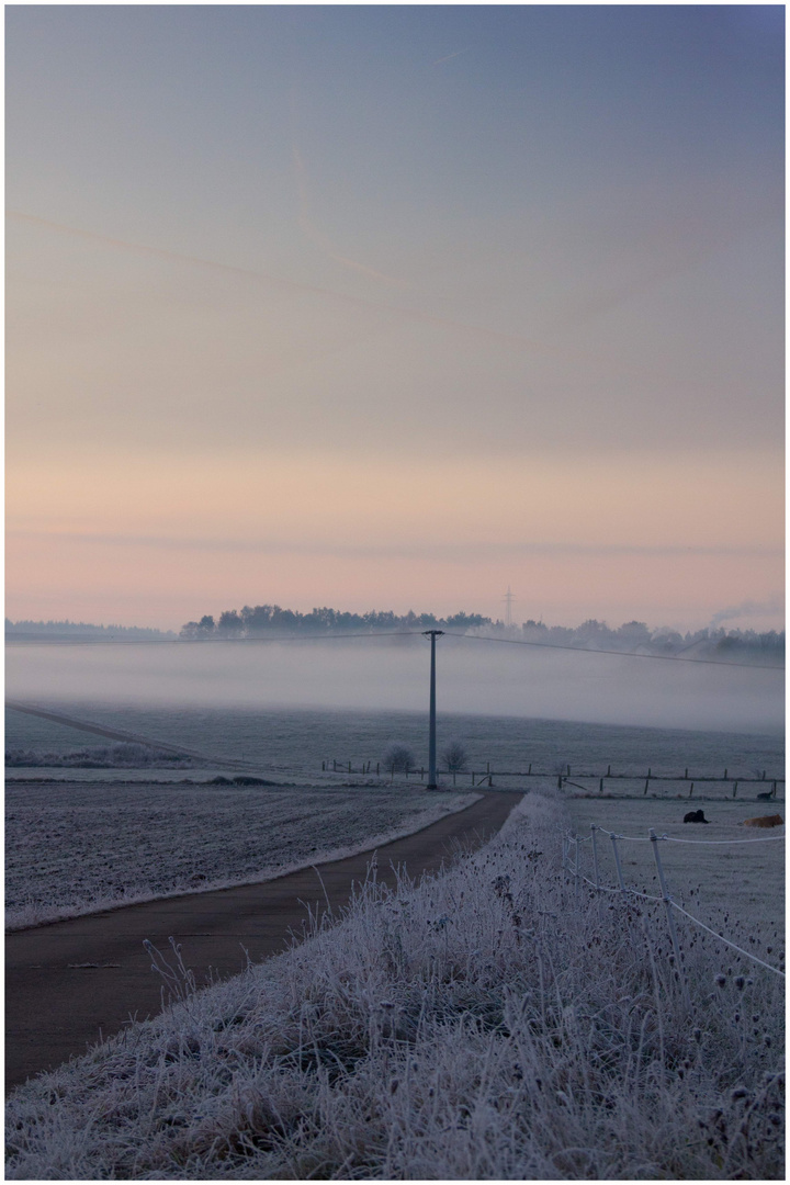 Frostiger Morgen 1