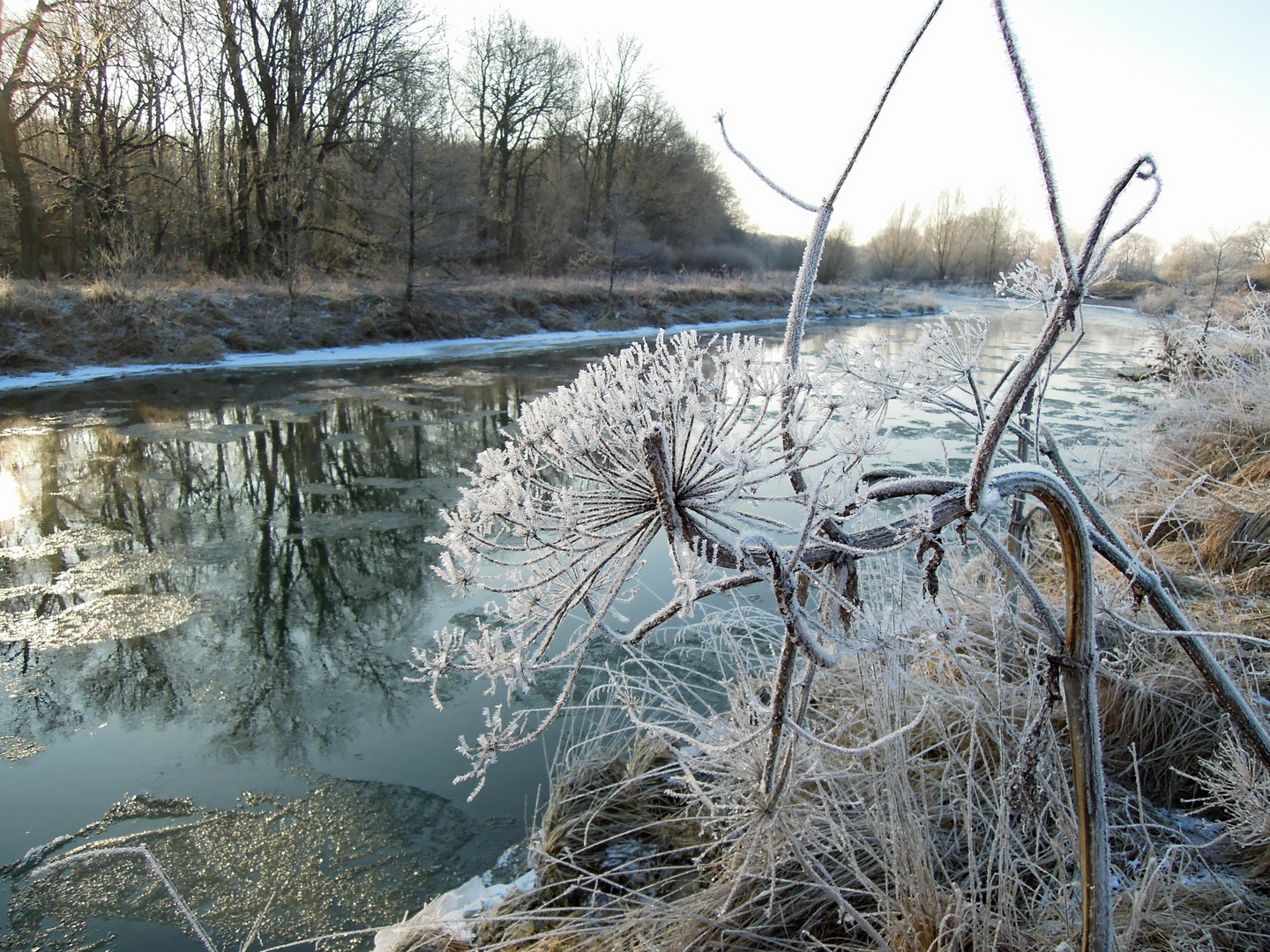 Frostiger Morgen Foto &amp; Bild | natur, landschaft, bach Bilder auf ...