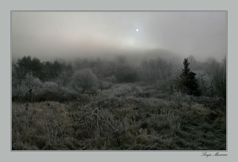 Frostiger Morgen