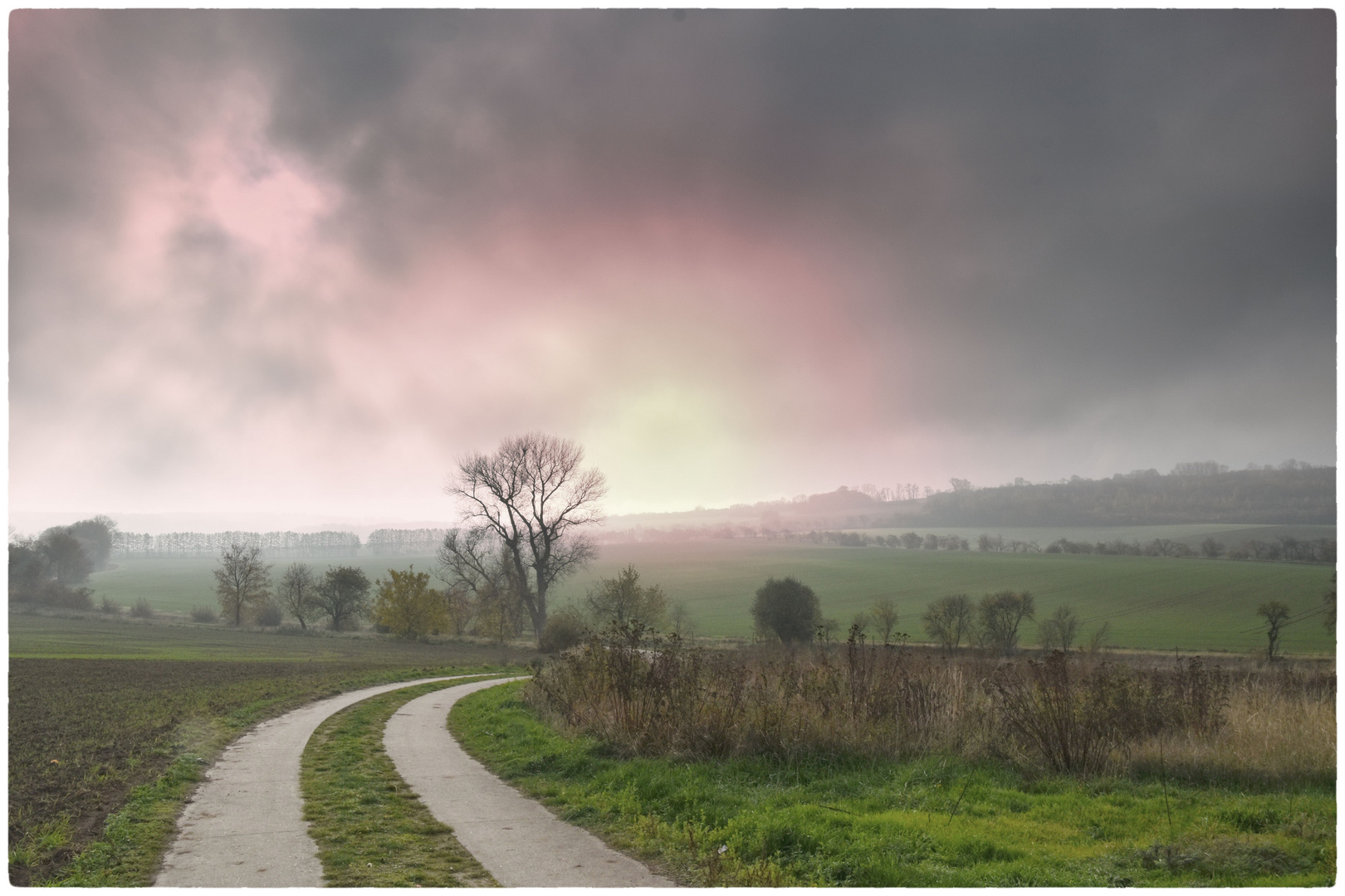 frostiger Morgen 2 Foto &amp; Bild | landschaften, natur, herbst Bilder auf ...