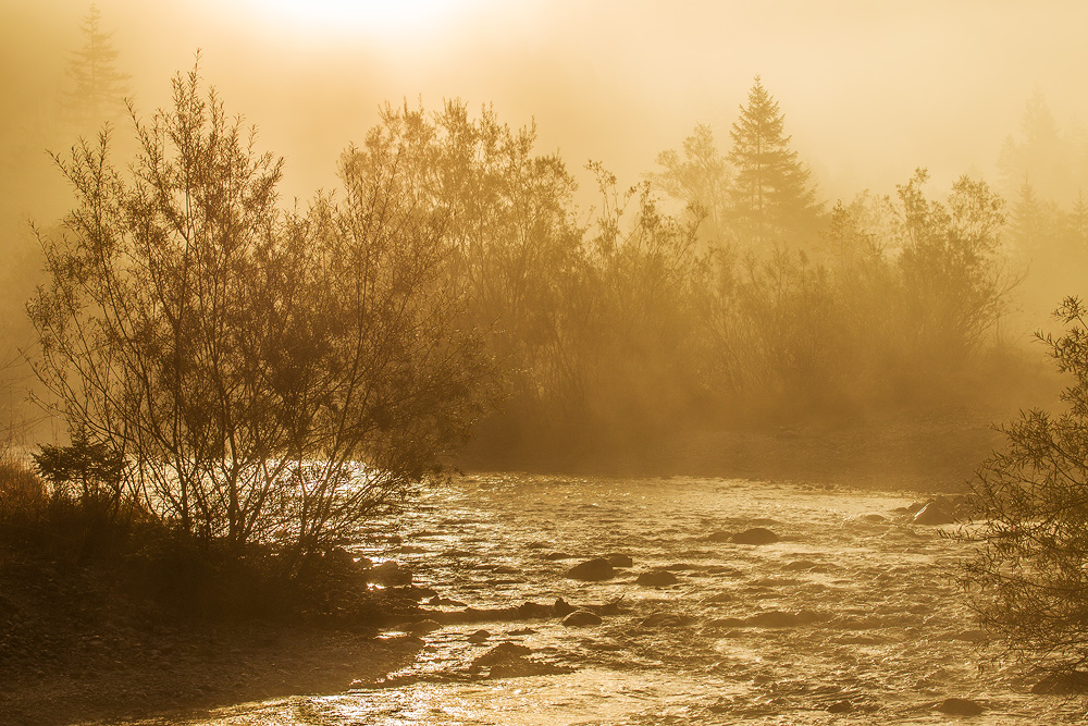 Frostiger Morgen