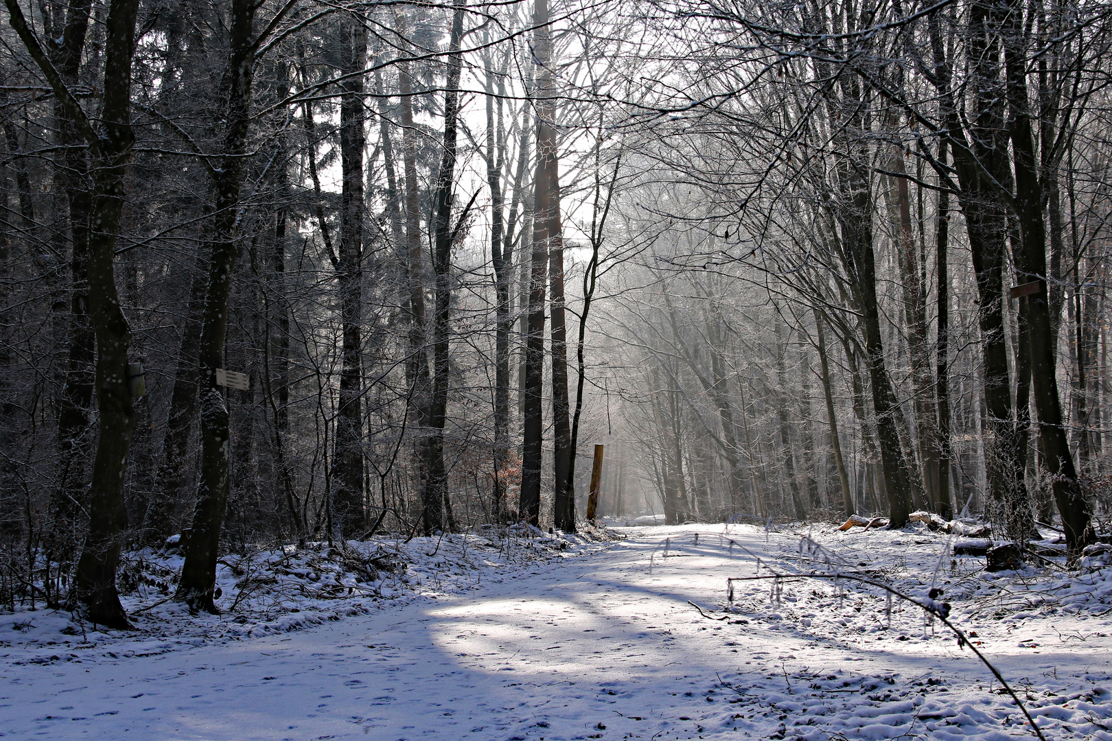 frostiger Morgen