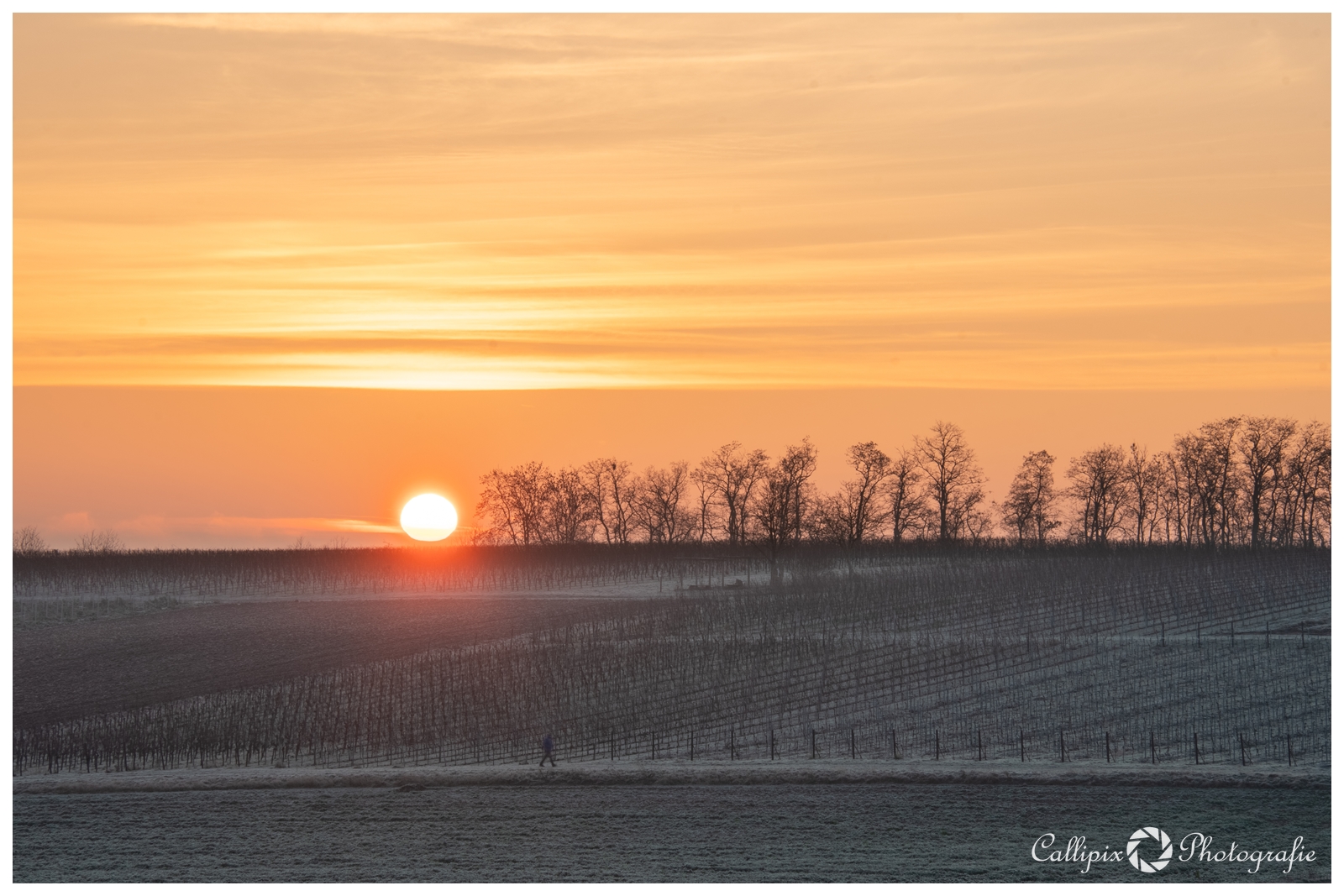 Frostiger Morgen