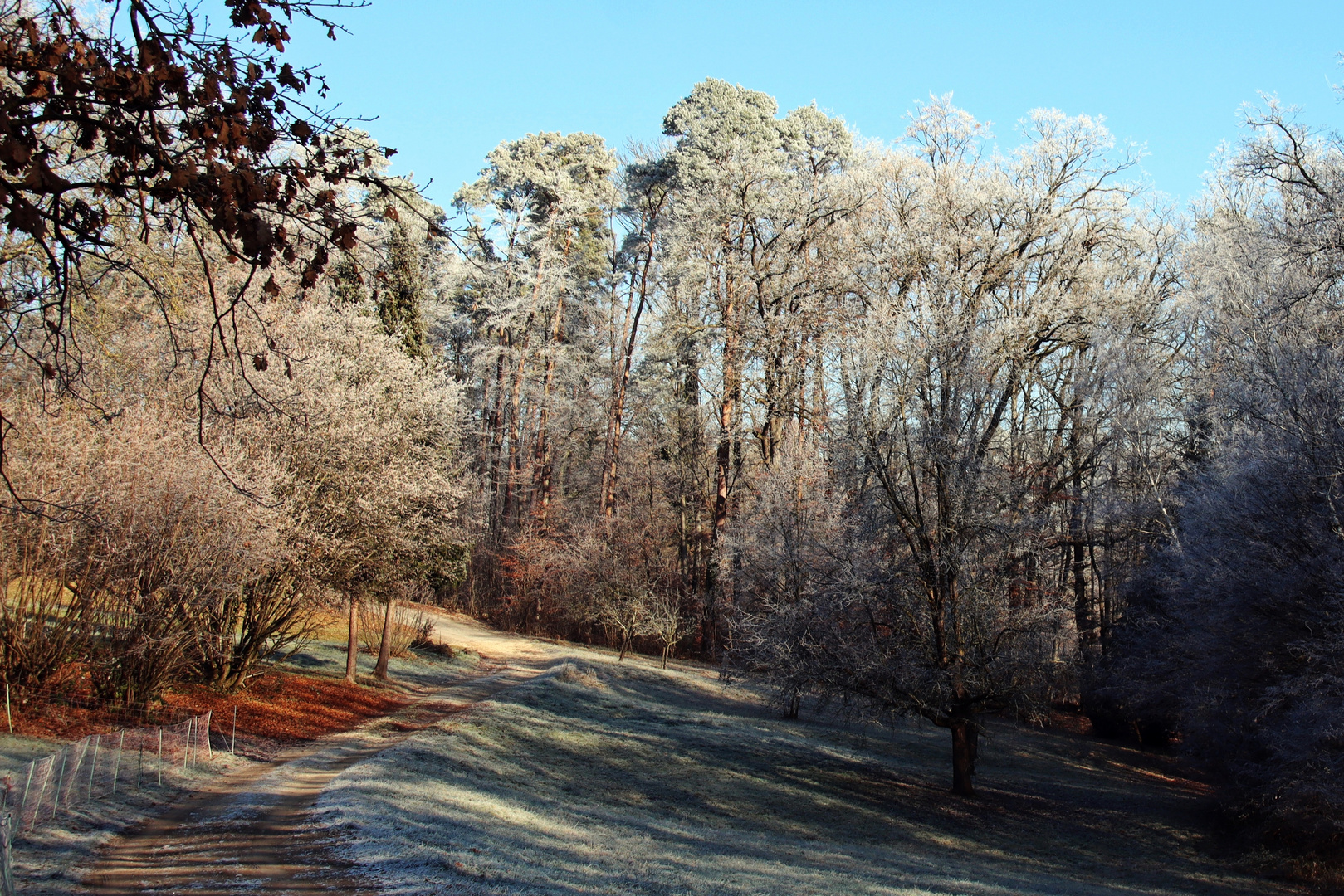 frostiger Morgen