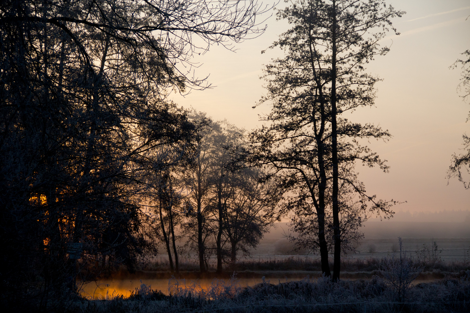 Frostiger Morgen 3