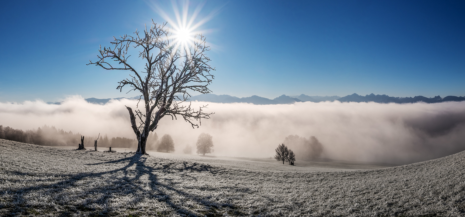 frostiger morgen