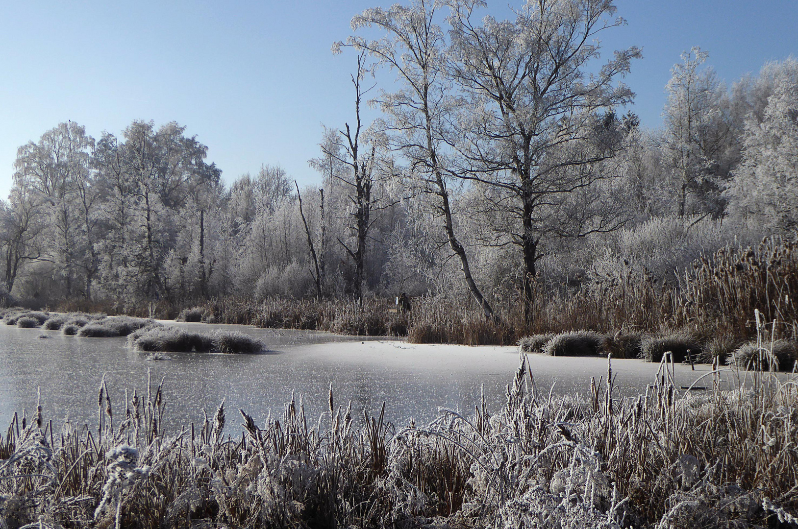 Frostiger Morgen