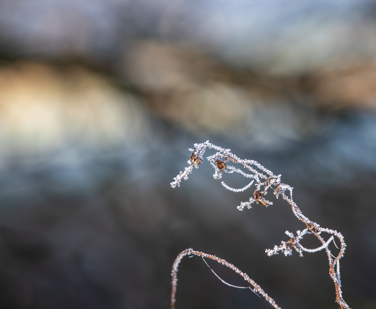 Frostiger Morgen