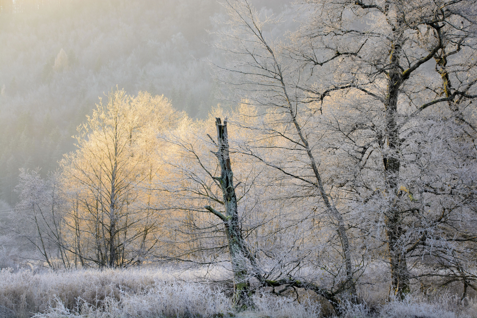 Frostiger Morgen