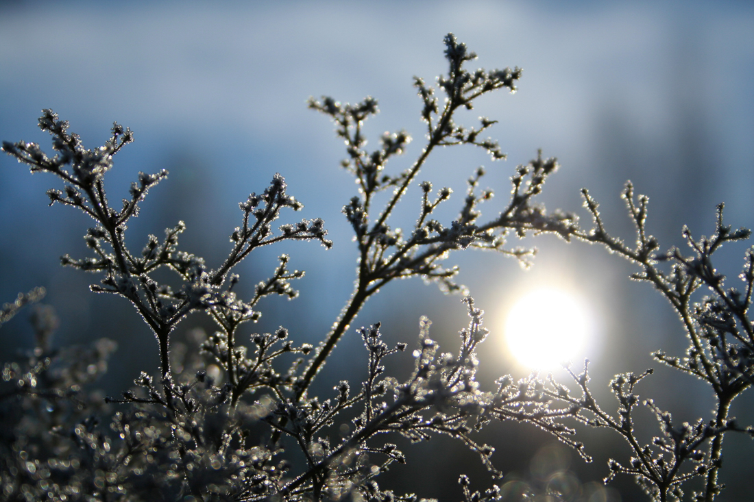 Frostiger Morgen