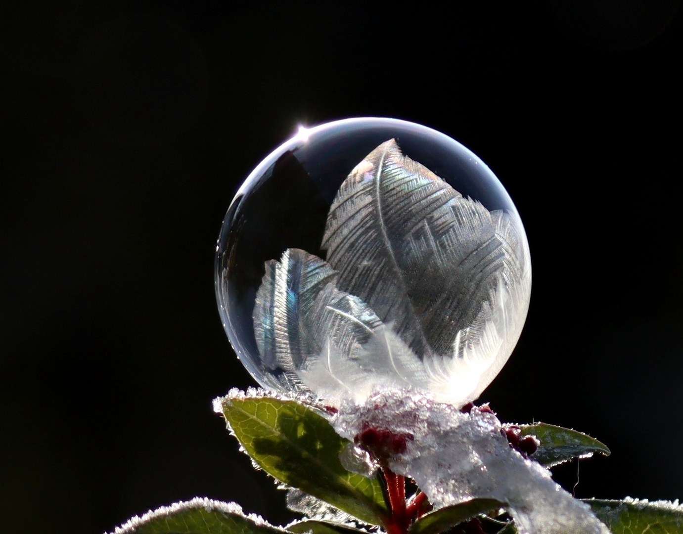 frostiger Morgen