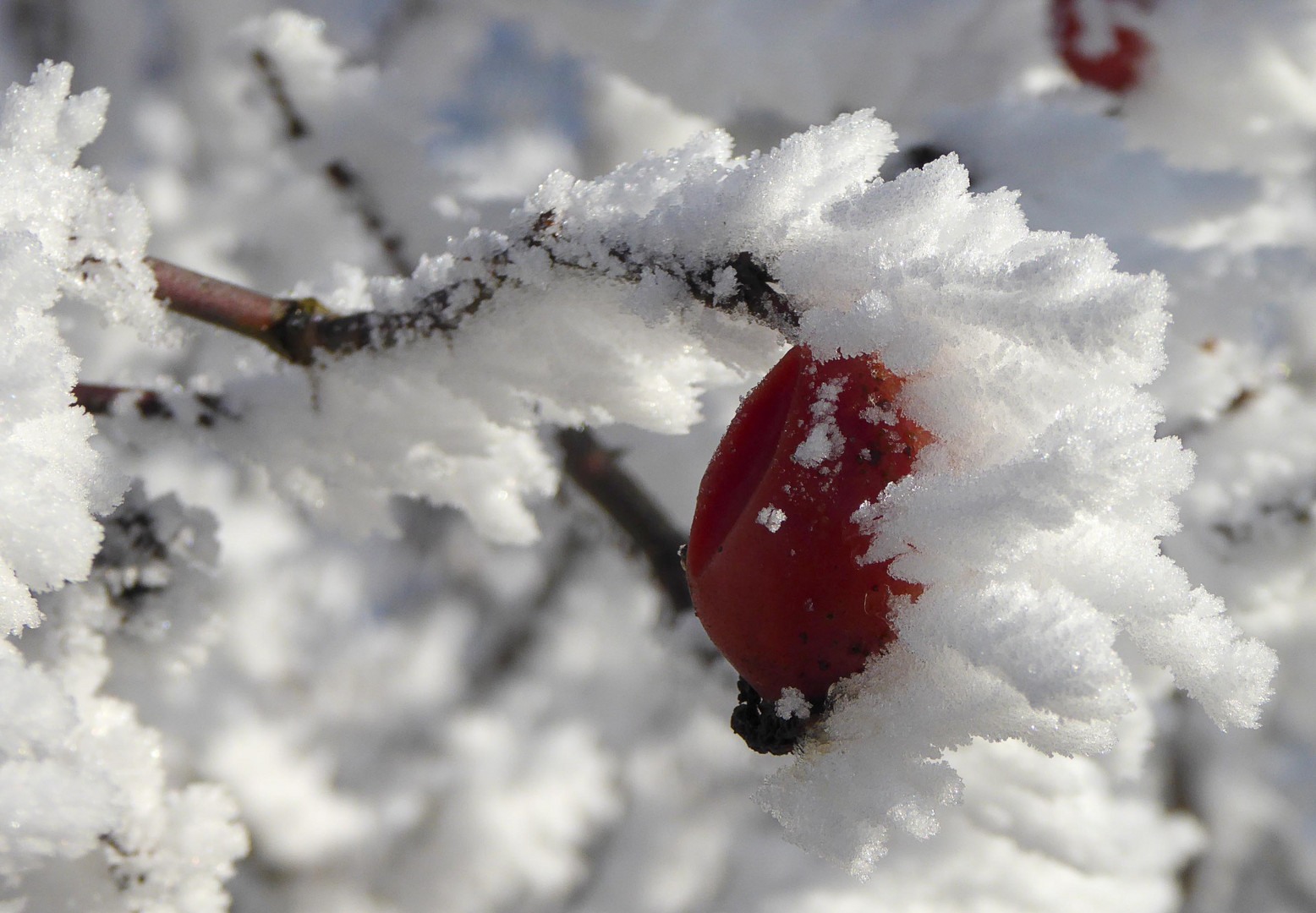 Frostiger Morgen