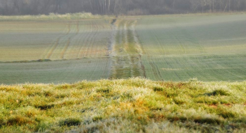 frostiger Morgen