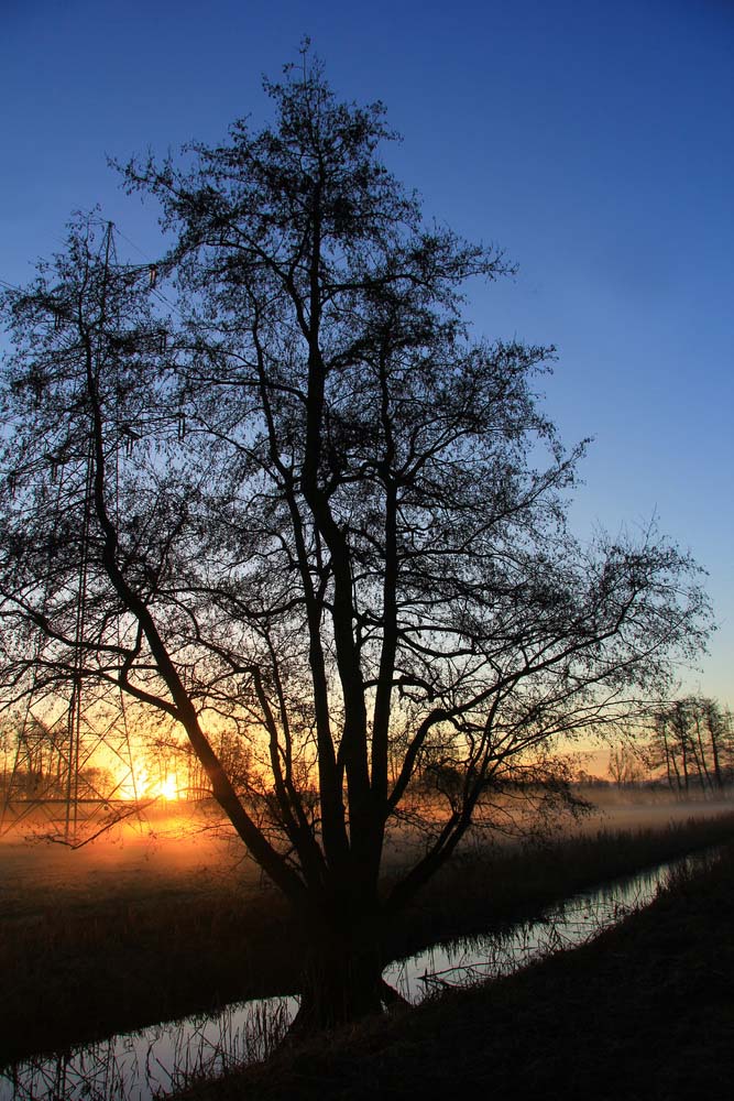 Frostiger Morgen