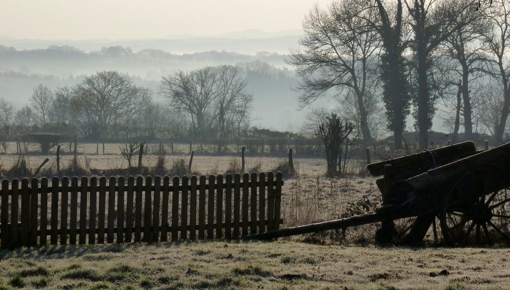 Frostiger Morgen