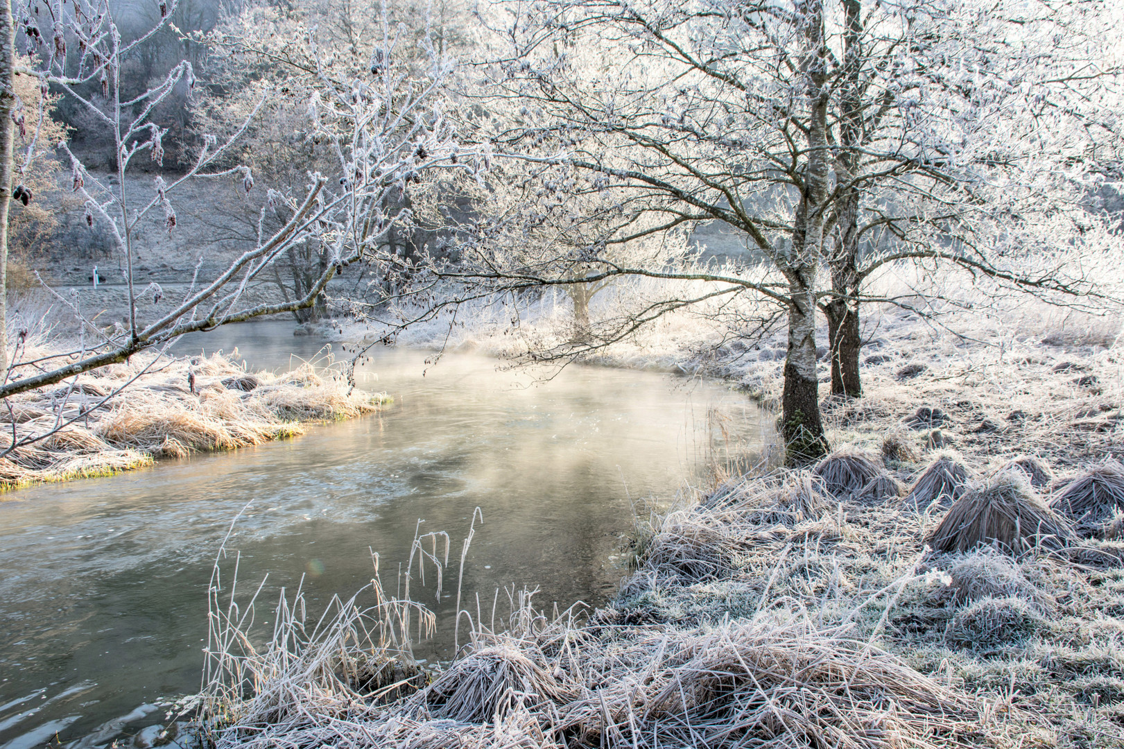 frostiger Morgen