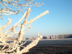 Frostiger Morgen