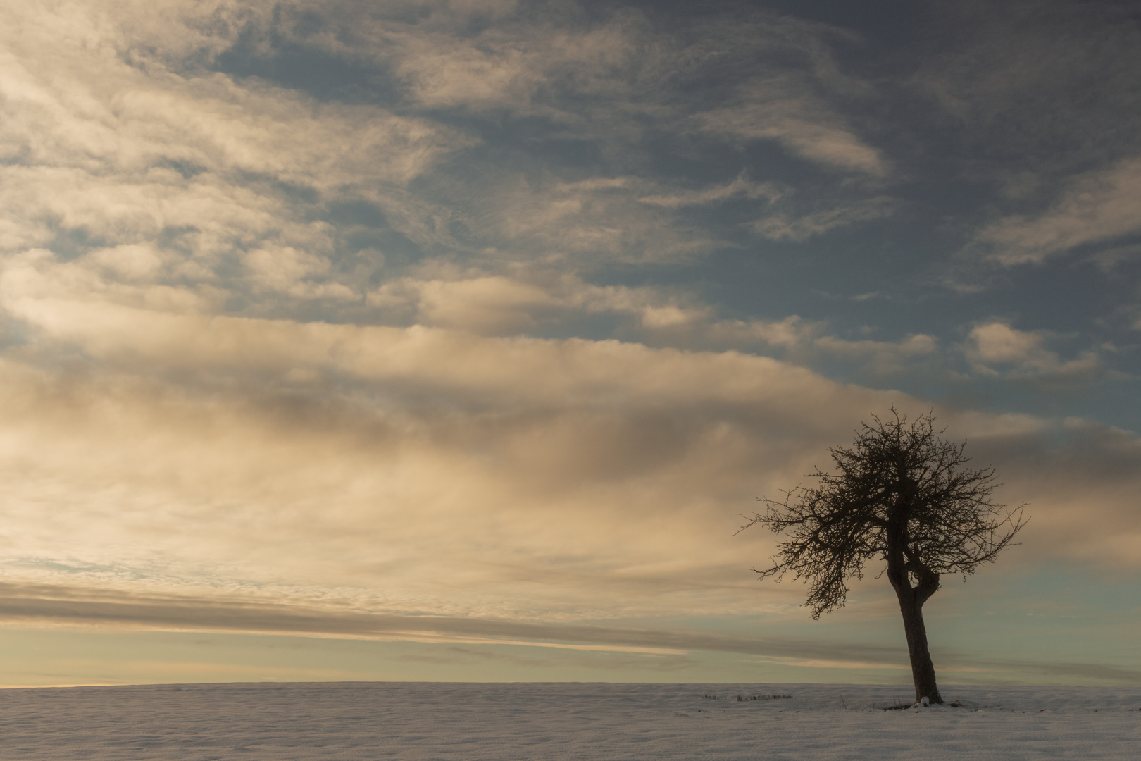 Frostiger Morgen