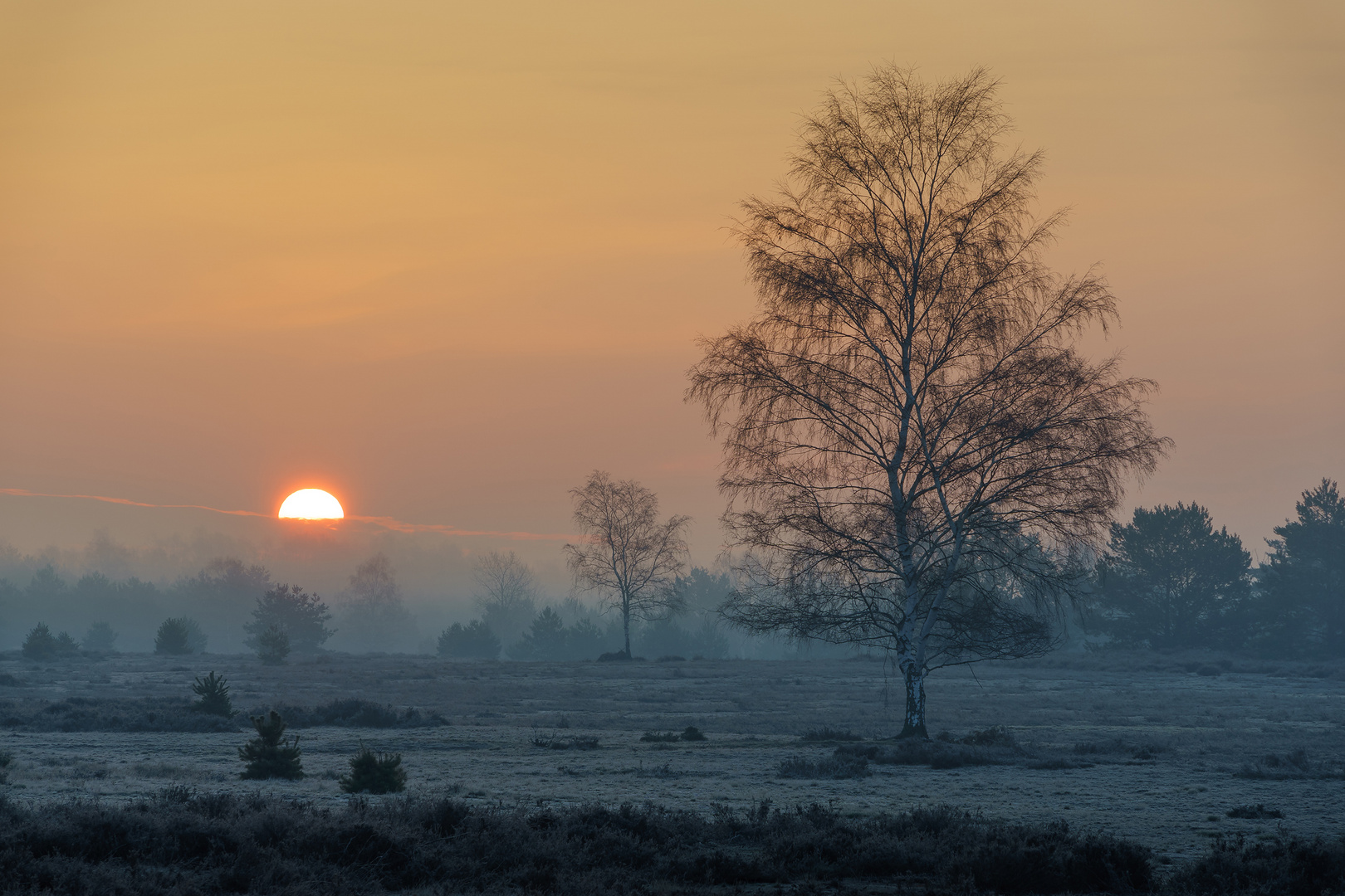 Frostiger Morgen,