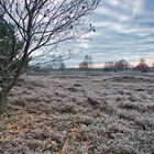 Frostiger Morgen