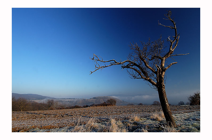 frostiger Morgen