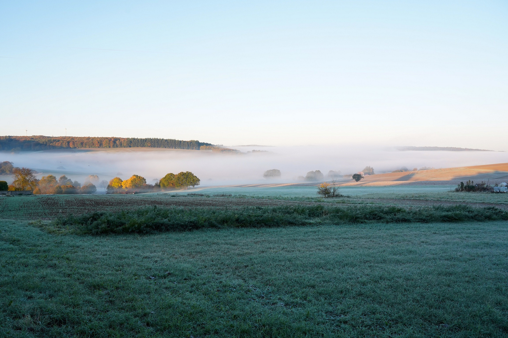 frostiger Morgen