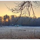 Frostiger Morgen