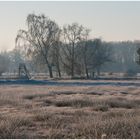 Frostiger Morgen