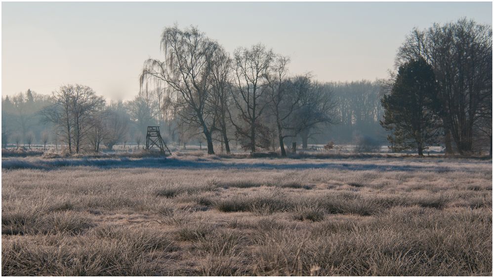 Frostiger Morgen