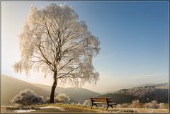 Frostiger Morgen 