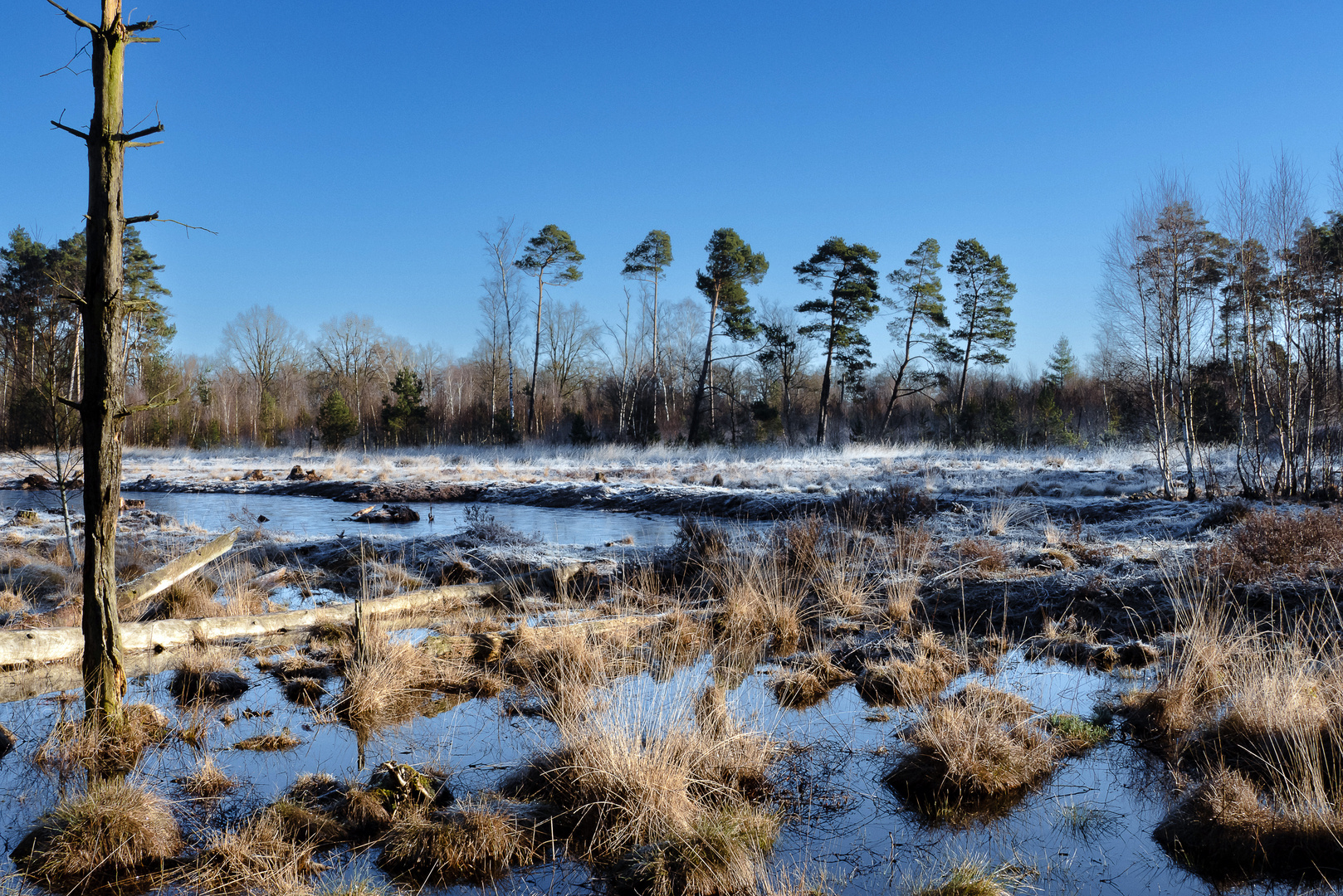 Frostiger Morgen