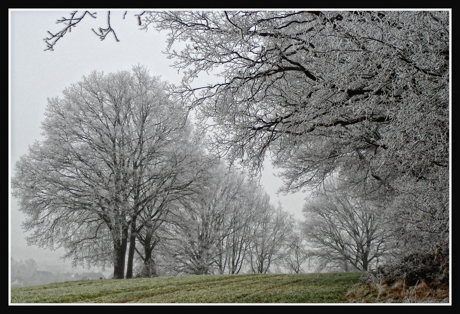 Frostiger Morgen