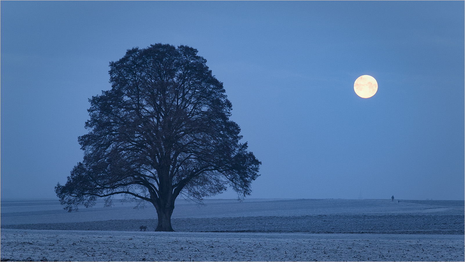 frostiger Morgen 