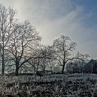 Frostiger Morgen