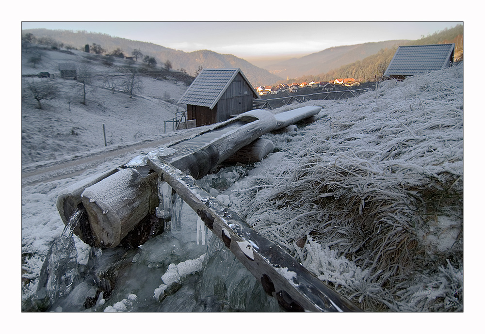 frostiger morgen.....