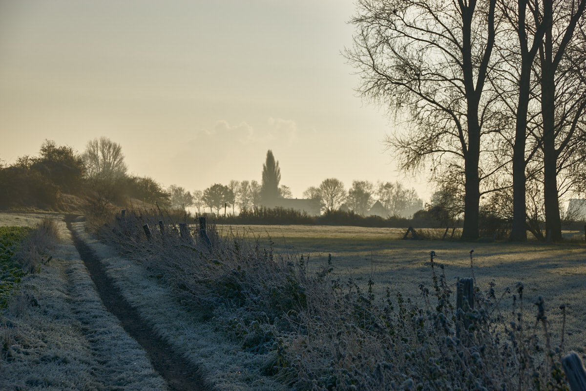 Frostiger Morgen