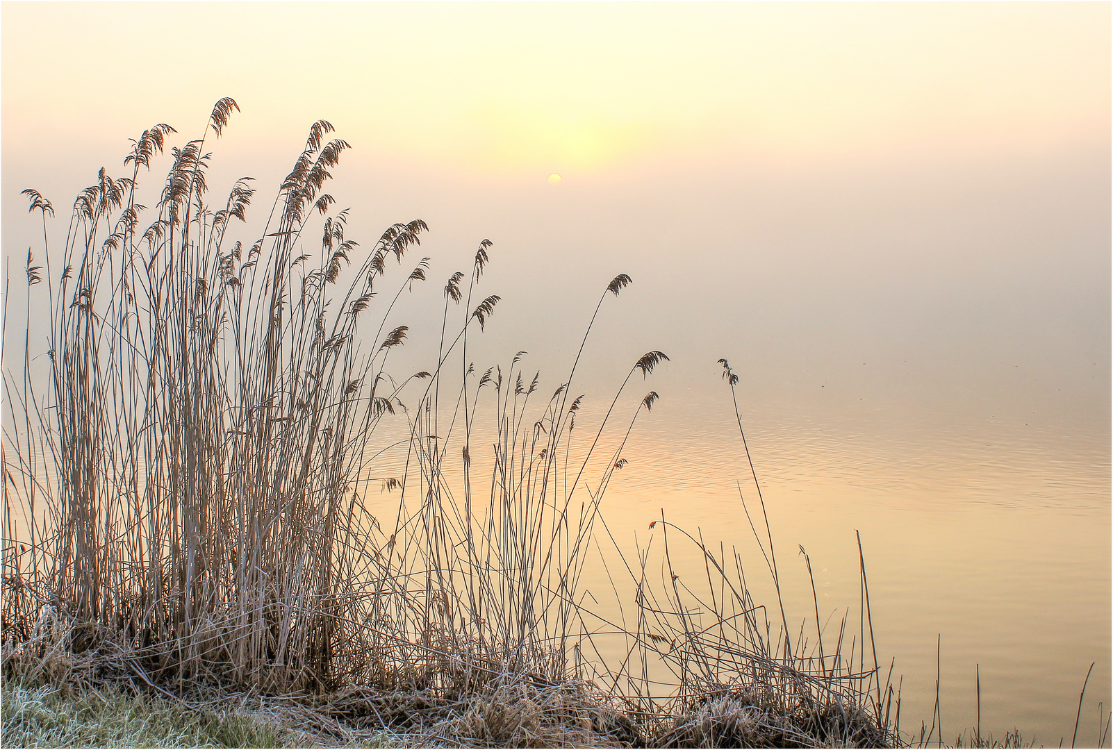 Frostiger Morgen