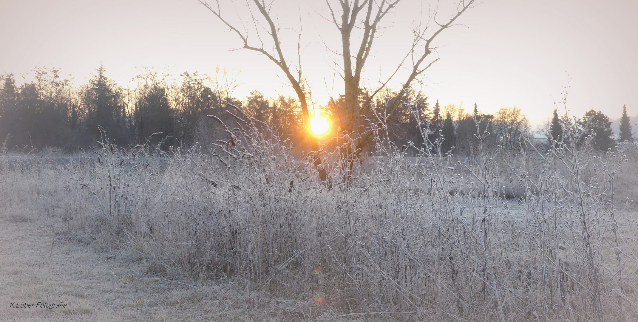 Frostiger Morgen