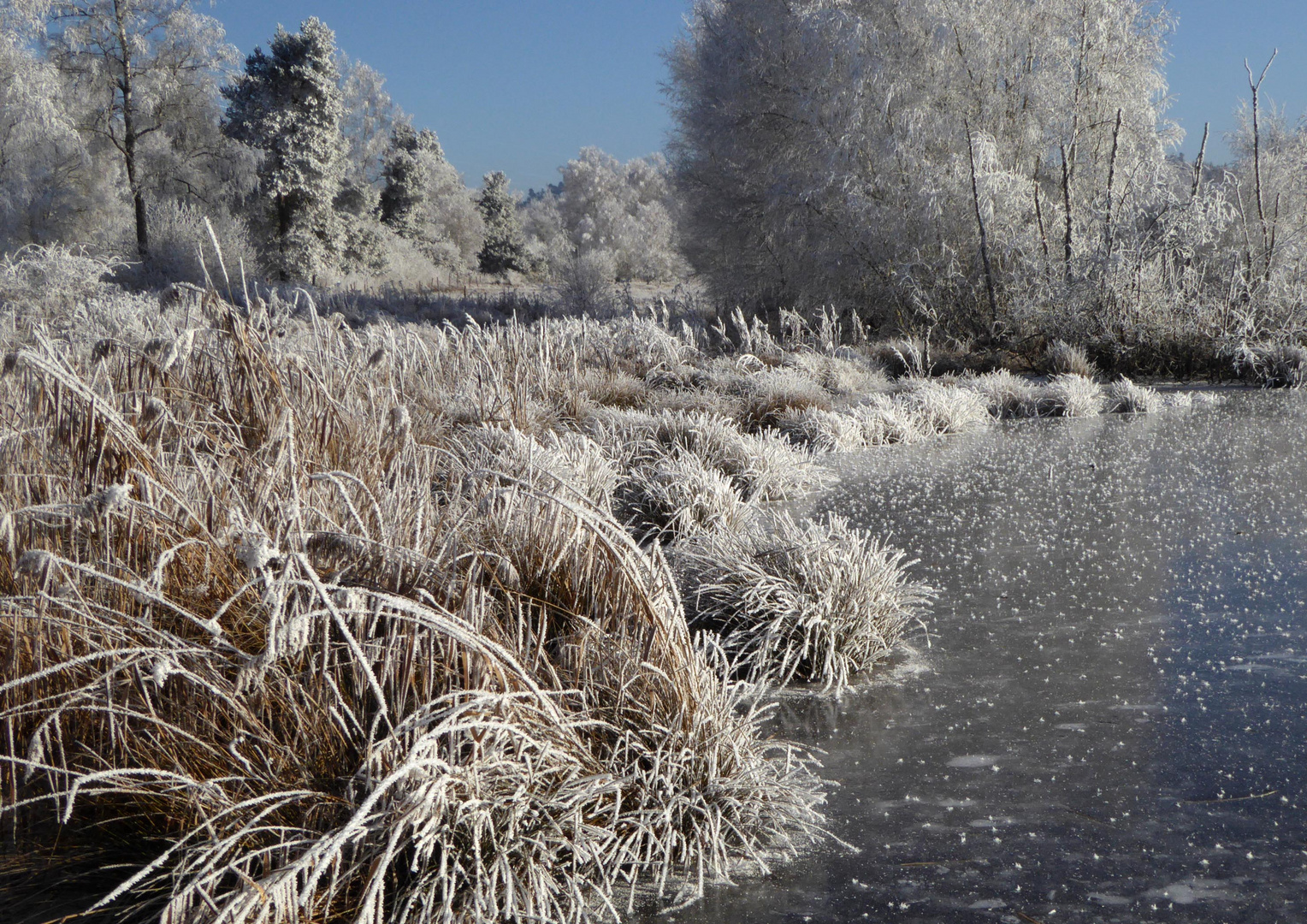 Frostiger Morgen